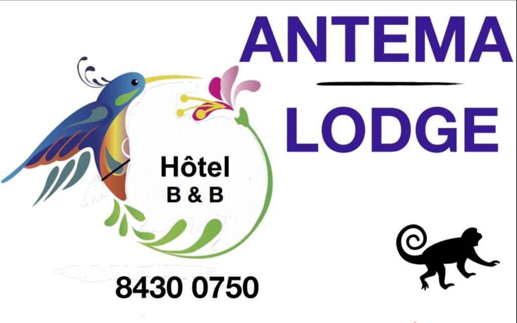 Antema Lodge Secteur Tamarindo, Piscine, Yoga, Gym, Jungle Et Paix ภายนอก รูปภาพ