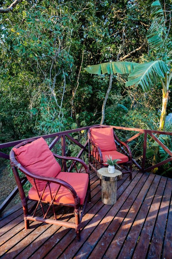 Antema Lodge Secteur Tamarindo, Piscine, Yoga, Gym, Jungle Et Paix ภายนอก รูปภาพ
